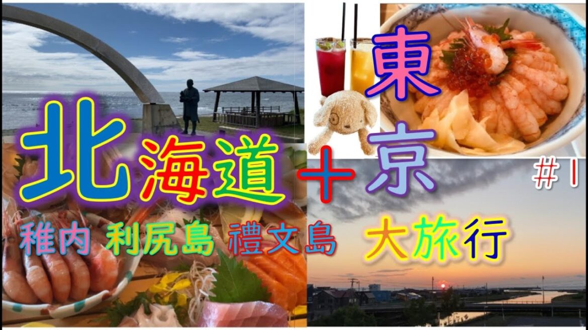 【北海道自駕遊】Day1 Part1| 稚內| 利尻島| 礼文島| 美瑛| 富良野| 帶廣| 東京| 北海道