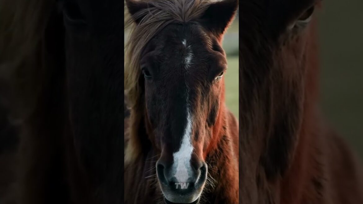 Unbelievable Visuals😍 PART 4😍 #shorts #tiktok #travel #reels #vacation