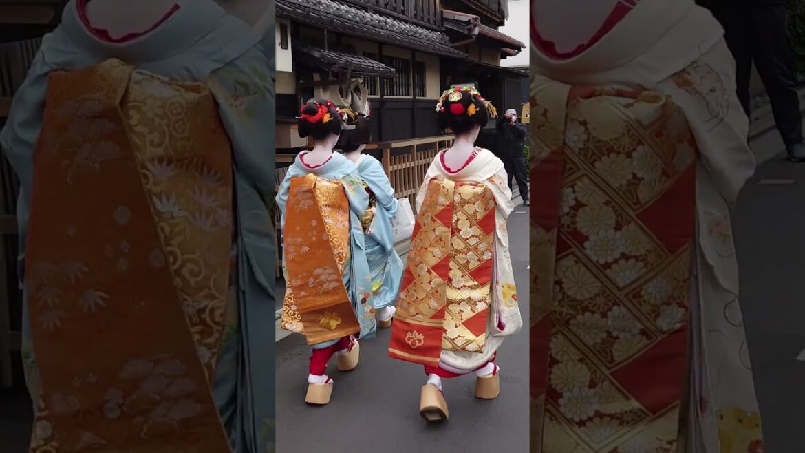 Most beautiful place in japan #travel #reality #explore #beautifulplaces #Shorts