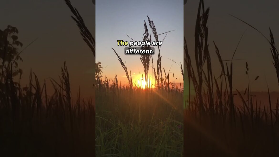 Exploring the Unique Culture and Beauty of Jeju Island, South Korea