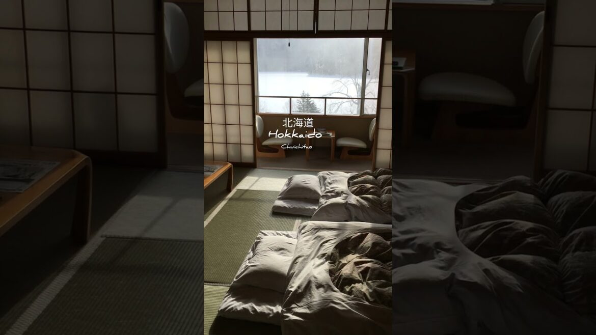 北海道｜住在寧靜的和式房間，外面下著暴風雪  #日本旅行  #japantravel #hokkaido @user-wo2lu3hb9l