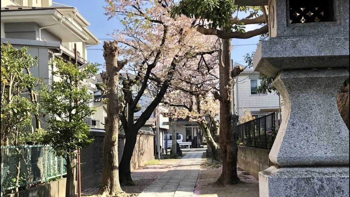 30 Minutes in Funabashi, Japan | A Silent Walking Tour