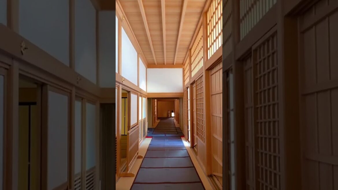 A Day at Nagoya Castle