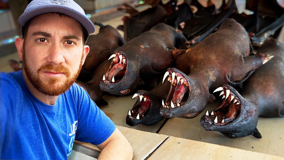 World’s Most SHOCKING Meat Market (Dogs, Cast, Bats) World's Most SHOCKING Meat Market (Dogs, Cast, Bats)