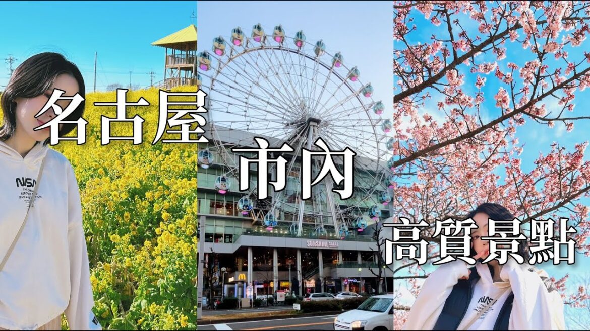 Nagoya名古屋| 愛知牧場|油菜花田|櫻花秘景|摩天輪商場|旅遊Vlog Nagoya名古屋| 愛知牧場|油菜花田|櫻花秘景|摩天輪商場|旅遊Vlog