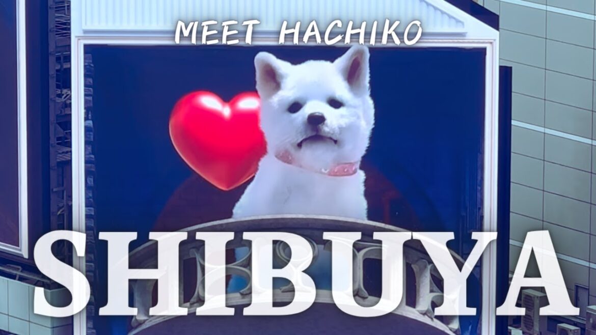 A complete guide to Shibuya🐕🦺Visiting places related to Hachiko A complete guide to Shibuya🐕🦺Visiting places related to Hachiko