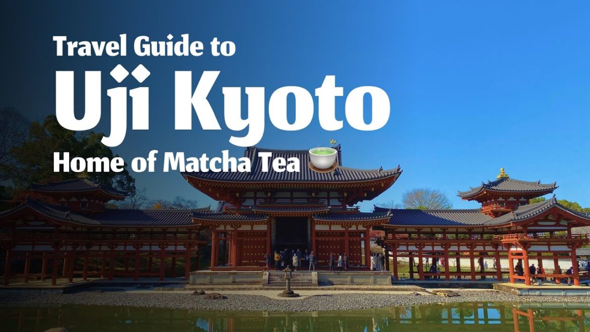 Your Matcha was born here, Uji Kyoto!!
