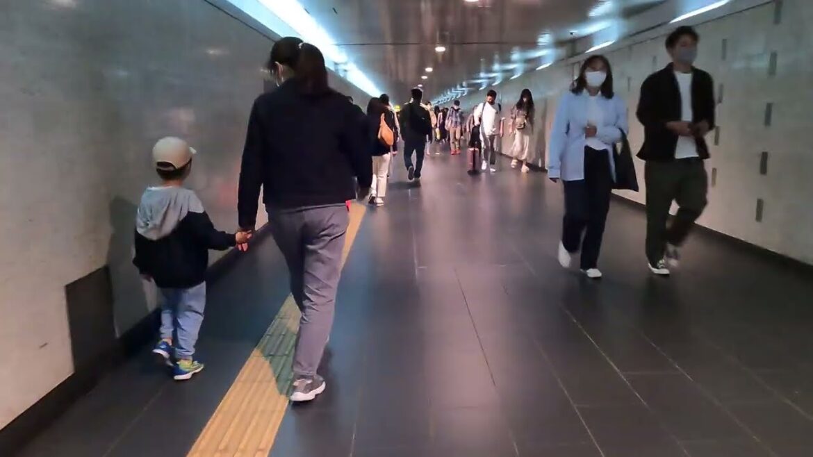 【JAPAN 4K】Walking at Yokohama Station【TOKYO 東京】 【JAPAN 4K】Walking at Yokohama Station【TOKYO 東京】