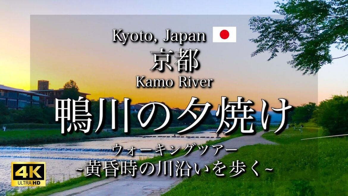 [京都|Kyoto]夕焼けの"鴨川"を観光｜日暮れの川沿いと納涼床｜"Kamo River at dusk" Walking Tour(Vlog)[4K]