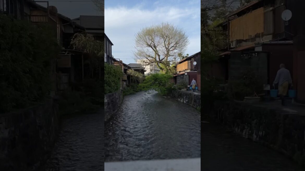 Peaceful Sunset Over Kyoto | #japan #travel