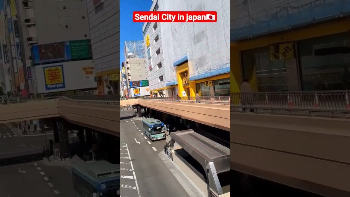 Sendai City Japan🇯🇵 #japan #sendai #japantravel #japanesefood #viral #trending #tokyo #shorts#vlog