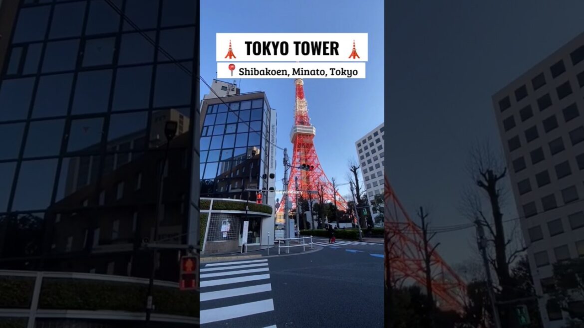 TOUR LENGKAP MASUK TOKYO TOWER BESERTA TIPS || PART 1