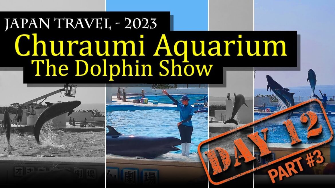 Dolphin Show 🌊🐬 at Churaumi Aquarium, Okinawa Japan (Okichan Theatre Show) Dolphin Show 🌊🐬 at Churaumi Aquarium, Okinawa Japan (Okichan Theatre Show)