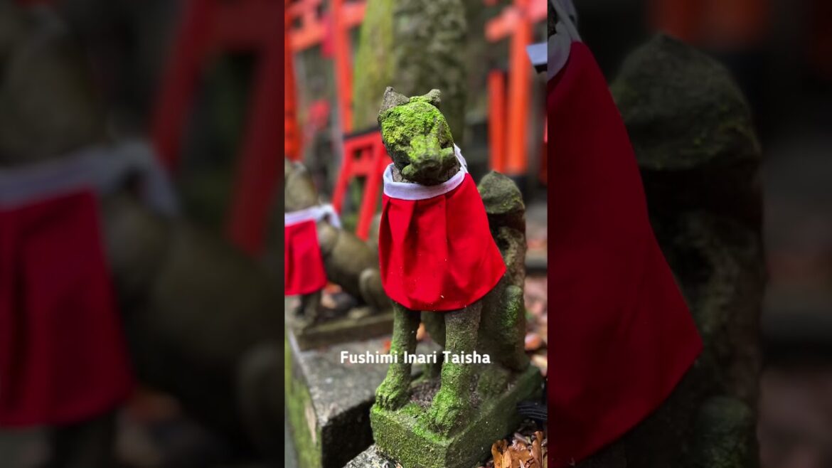 Fushimi Inari | Kyoto Japan Travel 🇯🇵