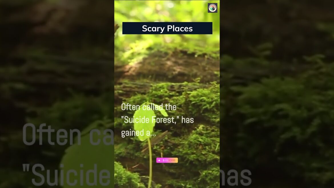 Stay away from these scary places. #scary #japan #travel