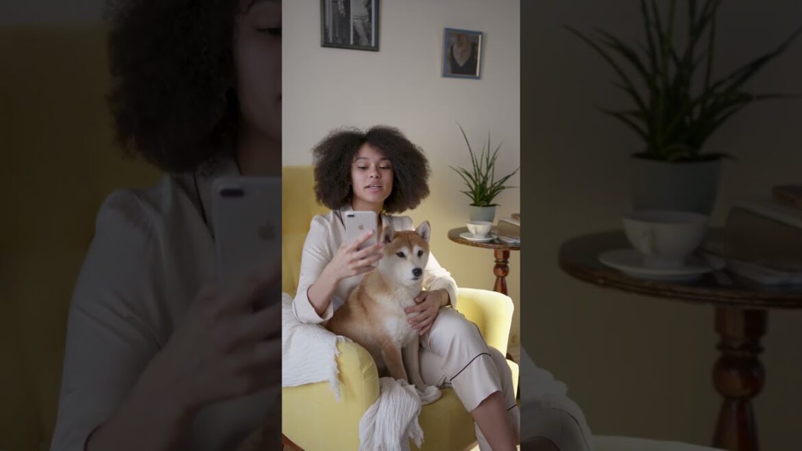 Dog Vlog Watch Daily Video | Amazing Journey Beautiful Place | Nice 💕 Video #emirates #viral