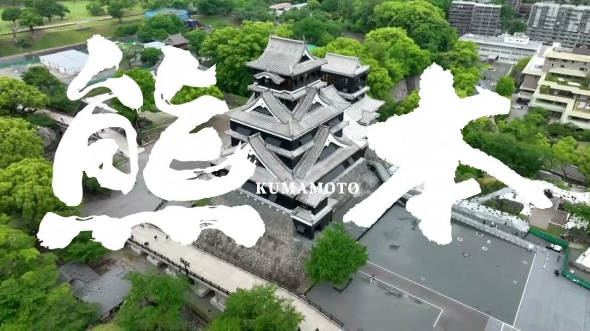 Let’s follow Kumamon and experience the enthusiasm of Kumamoto|STARLUX Airlines Let's follow Kumamon and experience the enthusiasm of Kumamoto|STARLUX Airlines