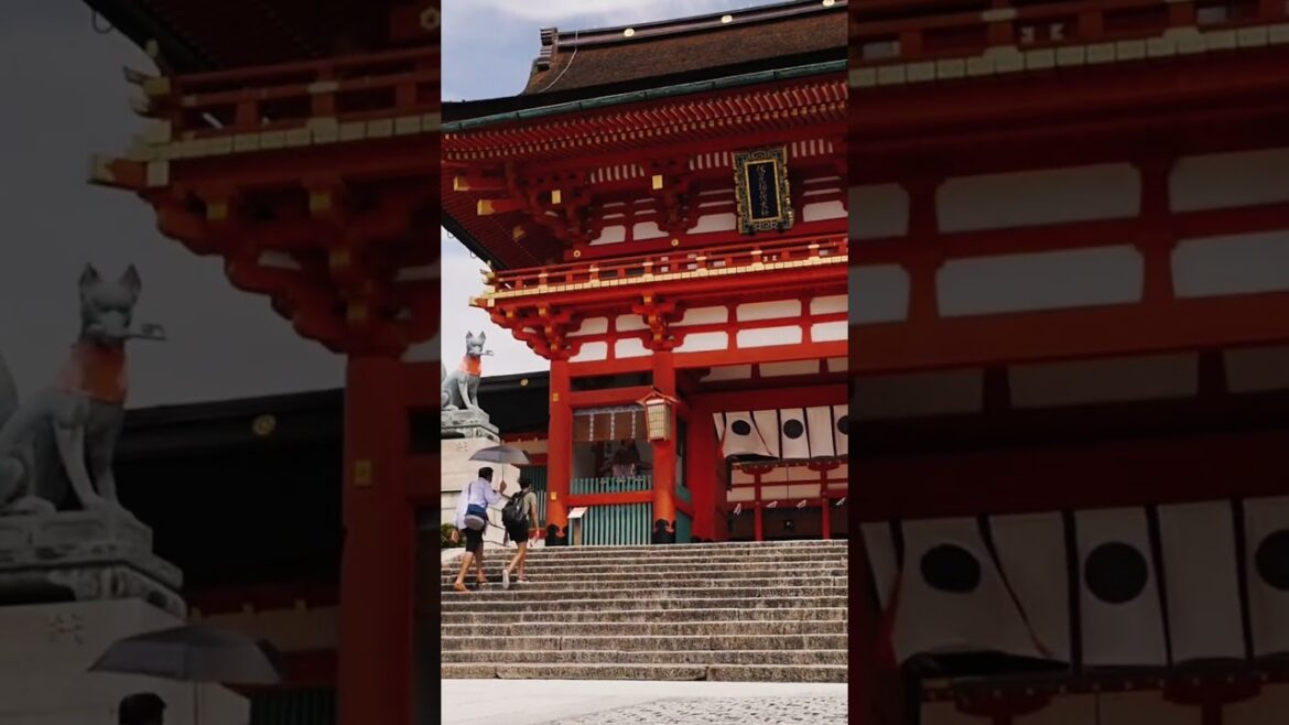 Japan Beautiful Places in 2K #japan #japanbeauty #explore #relaxing Japan Beautiful Places in 2K #japan #japanbeauty #explore #relaxing