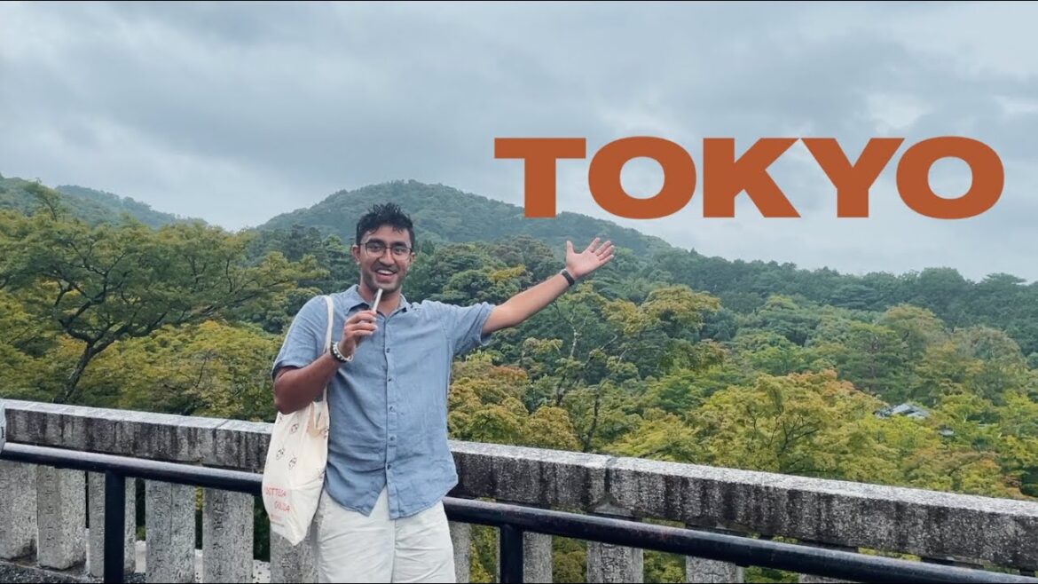 tokyo in 3 days! tokyo in 3 days!