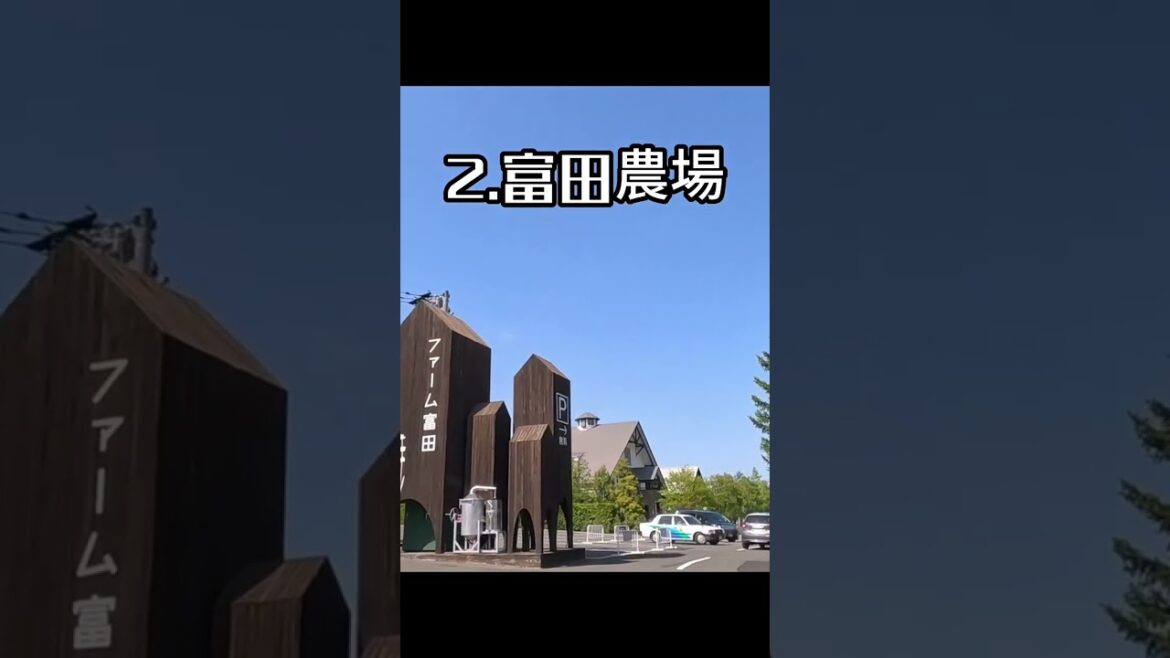 北海道富良野不可錯過的三件事