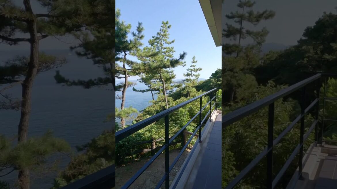summer in Japan 日本の夏 #japan #travel #japantravel