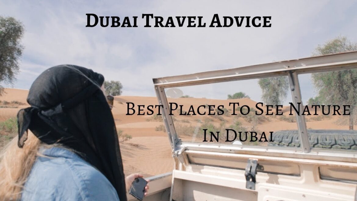 Best Places To Experience Nature In Dubai