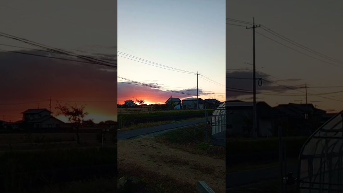 Sunset okayama japan #sunset #tranding @SHYAMBABAJAPAN