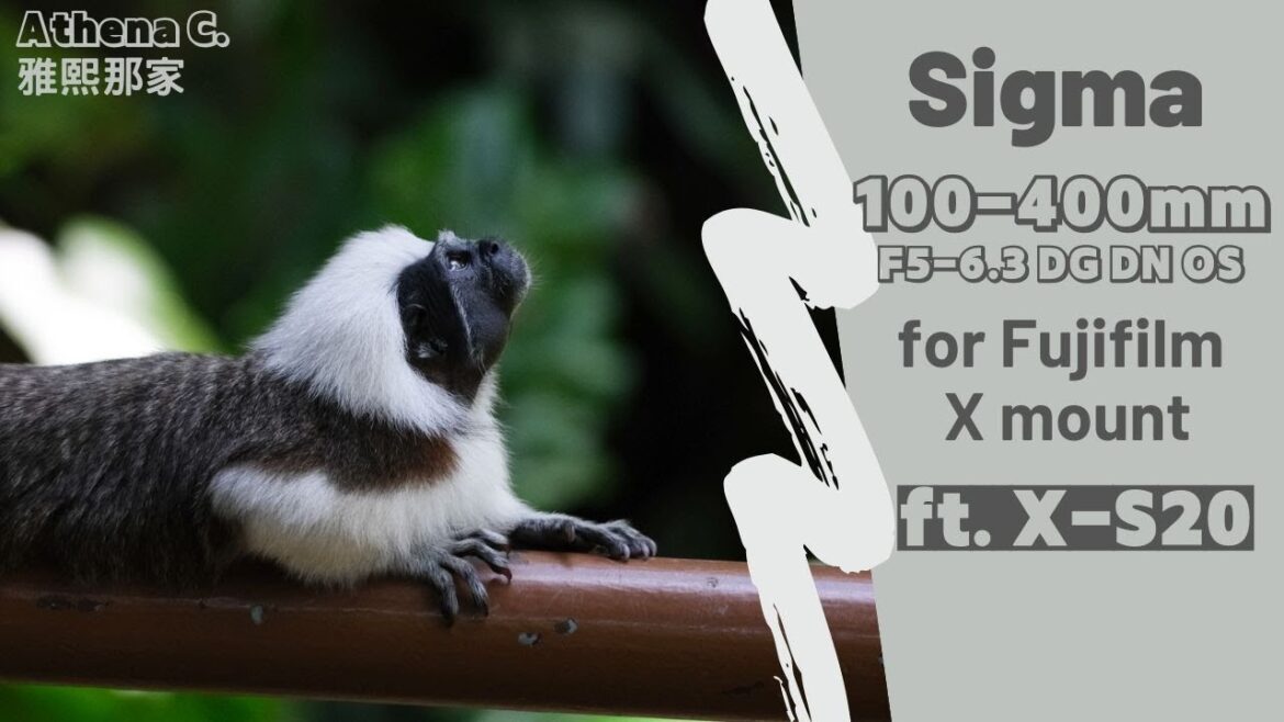 一顆讓我沈迷於超望遠變焦世界的鏡頭｜Sigma 100-400mm 5-6.3 DG DN OS Contemporary for X-mount ft. Fujifilm X-S20