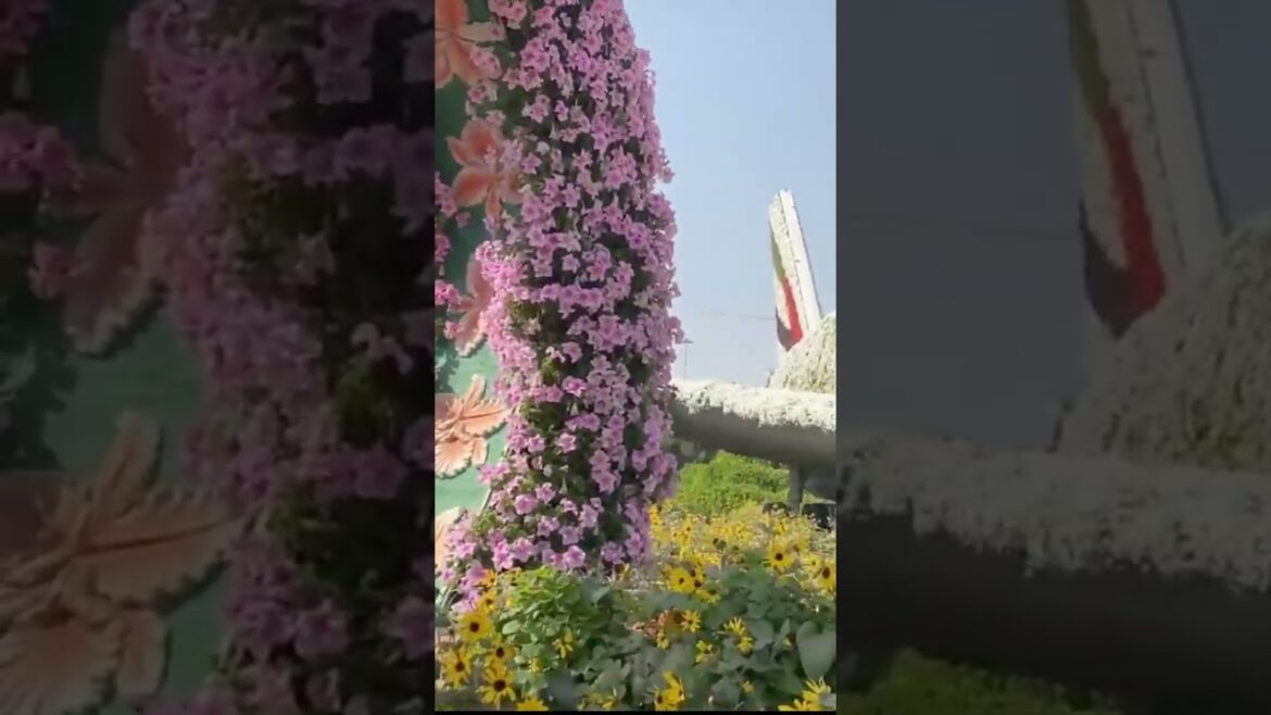 4K Japan Walk – Beautiful Japanese Garden in Nagoya (Morikoro Park モリコロパーク) EpicWander Travels 4K Japan Walk - Beautiful Japanese Garden in Nagoya (Morikoro Park モリコロパーク) EpicWander Travels