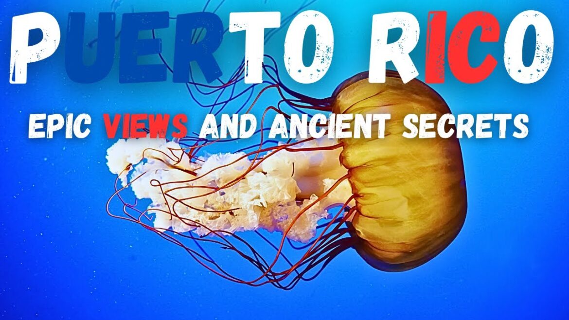 Puerto Rico: Epic Views and Ancient Secrets #passport #travelvlog #puertorico #beaches  #travel