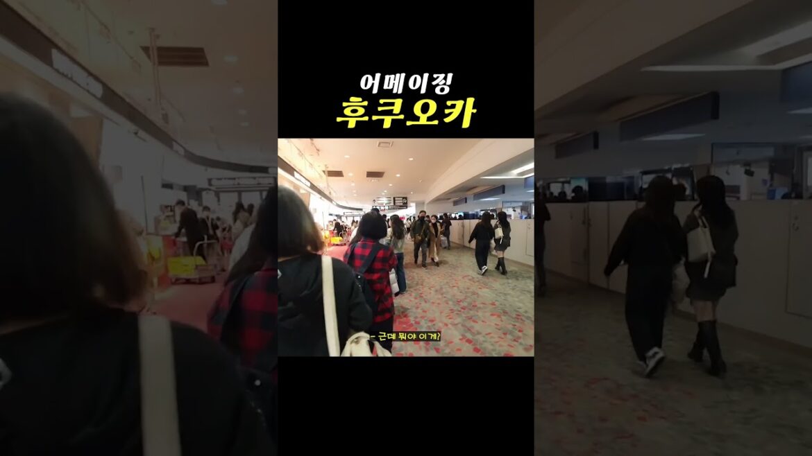 후쿠오카 출국길에 본 것