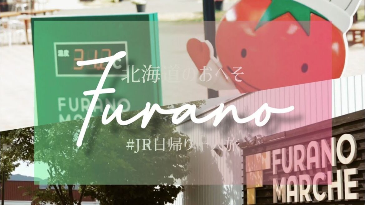 【日帰り一人旅】富良野駅周辺で昼食と話題の Furano Marcheに行きました【北海道夏旅】