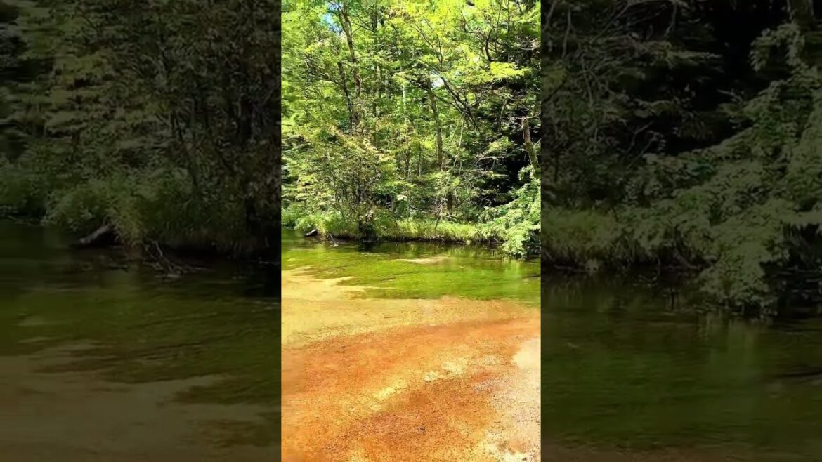 【JAPAN】Mysterious& Good View at Kamikochi