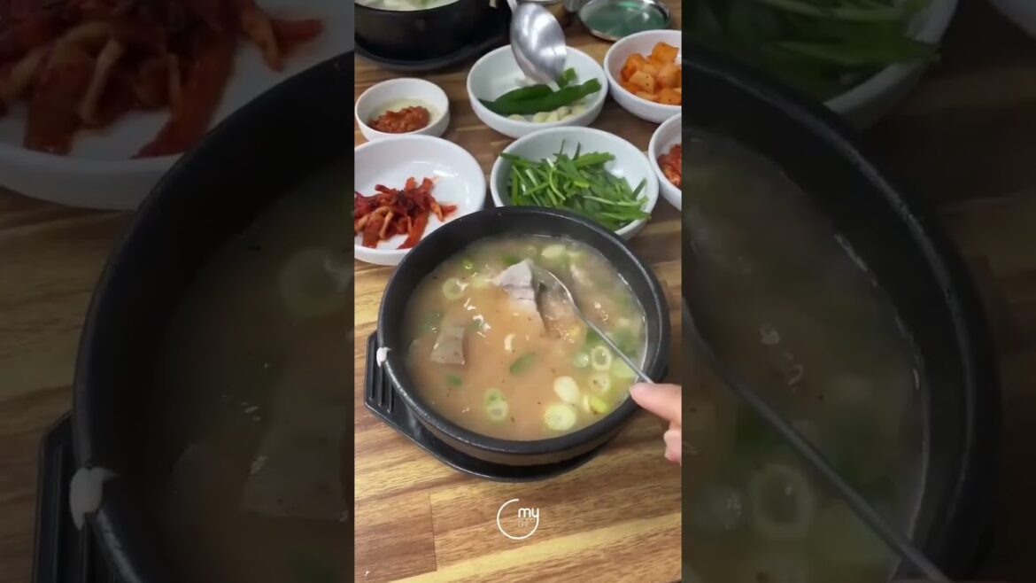 Must-Visit Experiences in South Korea 🇰🇷 #explore #nature #travel #koreatravel #visitkorea #seoul Must-Visit Experiences in South Korea 🇰🇷 #explore #nature #travel #koreatravel #visitkorea #seoul