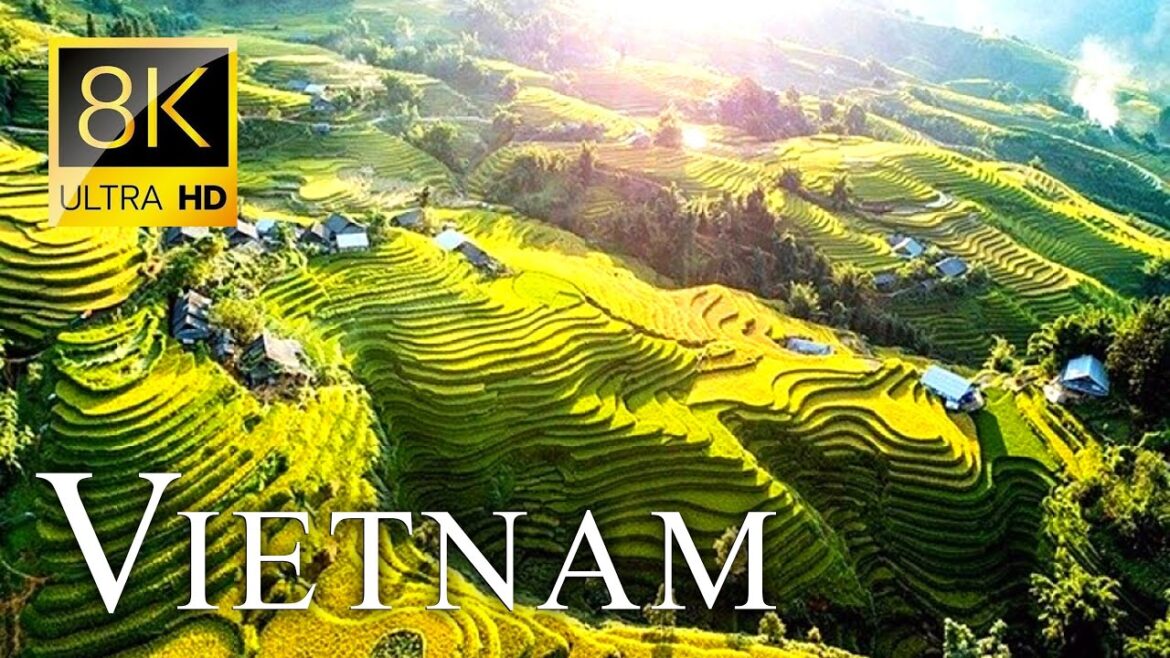 Discover the Enchanting Beauty of Vietnam in 8K HDR | Ultra HD Travel Video Discover the Enchanting Beauty of Vietnam in 8K HDR | Ultra HD Travel Video