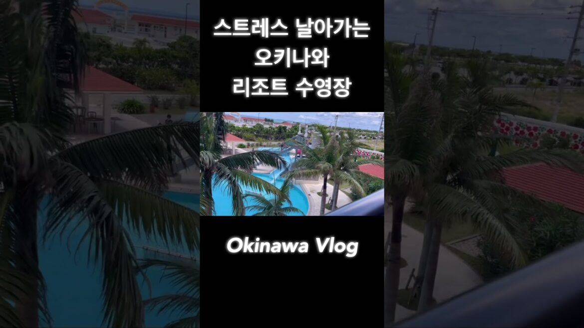 오키나와 리조트 수영장 #japantravel #okinawa #vlog #okinawavlog #short