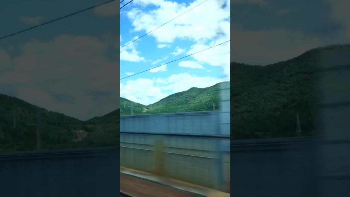 Riding on the shinkansen to Tokyo Station #shorts  #japan #travel #train #tokyo #chiba #shinkansen