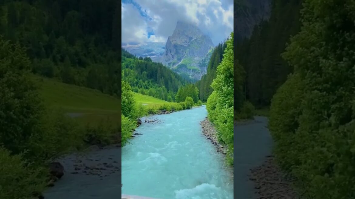 Peaceful Mesmerizing Waterfall Views of the world with relaxing music  #countryside #shorts
