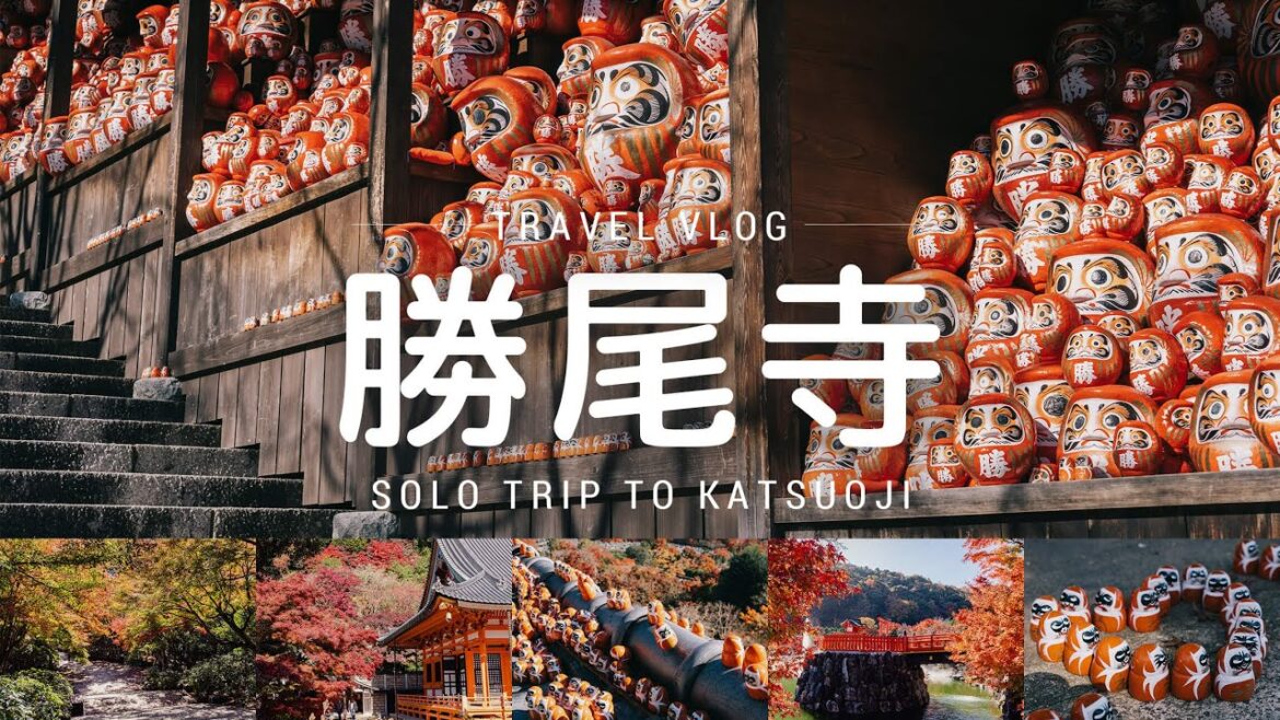 (jp/en)【ひとり旅#08】紅葉とだるまの勝尾寺／Solo trip to Katsuoji