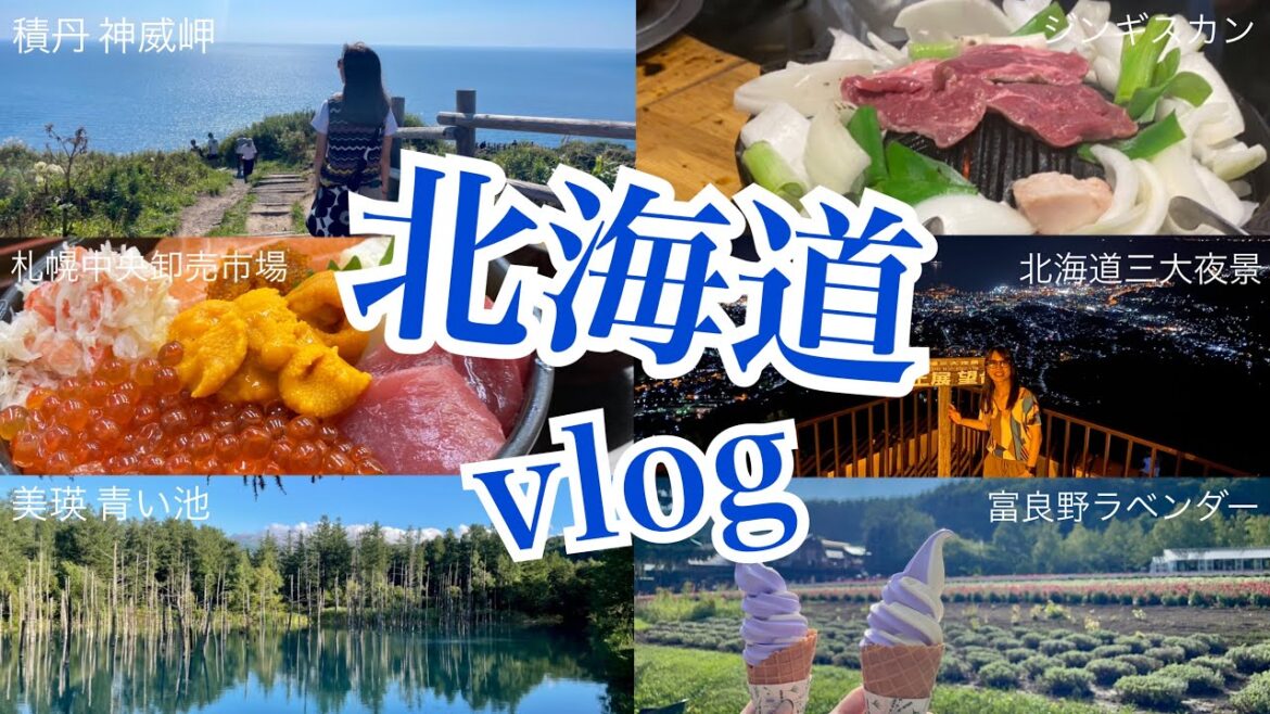 【北海道】Vlog 24歳元気っ子女子2人で旅行✈️🌽🍣2泊3日で観光・グルメを満喫〜札幌/小樽/富良野/美瑛/千歳/積丹 はじめての北海道の前におすすめ レンタカーで600キロ以上!! 【北海道】Vlog 24歳元気っ子女子2人で旅行✈️🌽🍣2泊3日で観光・グルメを満喫〜札幌/小樽/富良野/美瑛/千歳/積丹 はじめての北海道の前におすすめ レンタカーで600キロ以上!!
