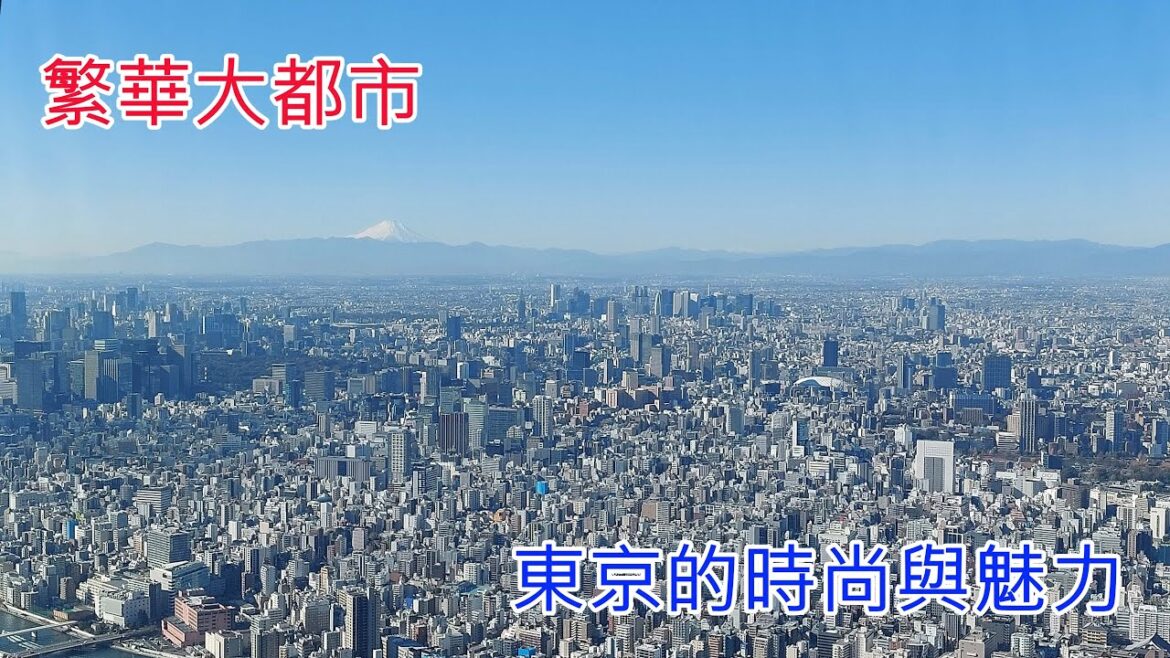 東京魅力盛宴：購物、美食、文化，全面感受都市活力！