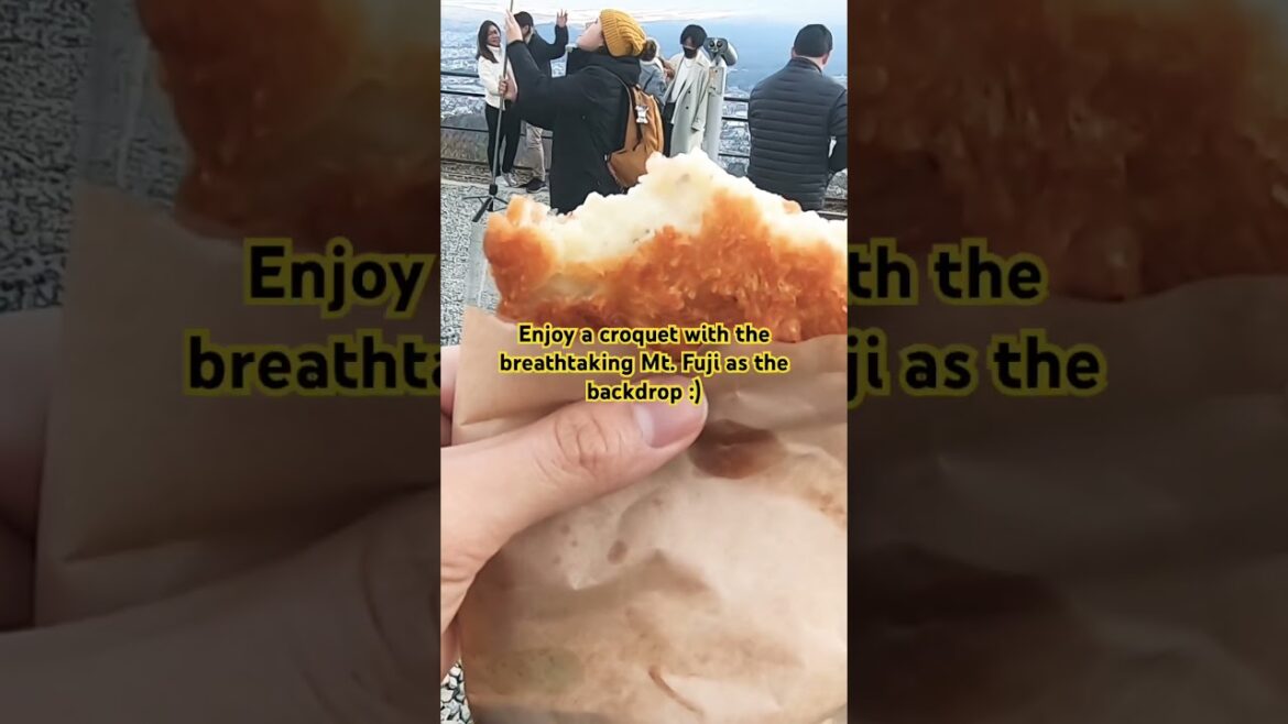 Best place for tourist to view Mt. Fuji!