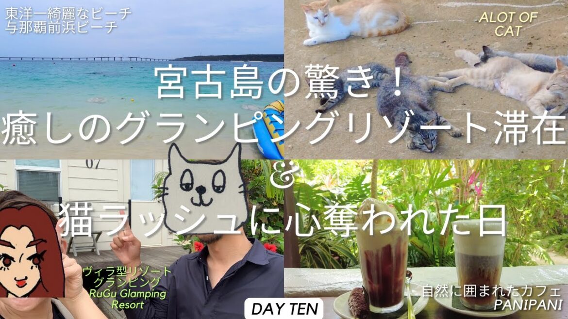 宮古島の驚き！癒しのグランピングリゾート滞在&猫ラッシュに心奪われた日 OKINAWA DAILY LIFE VLOG DAY TEN