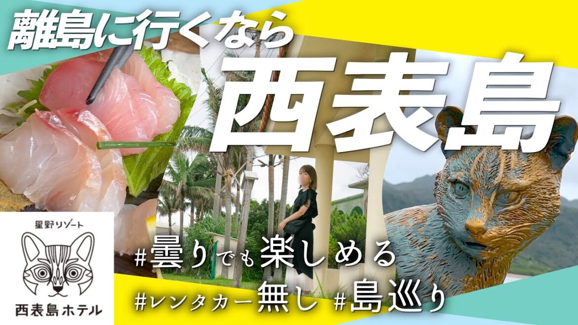 【後編】沖縄大好きな夫婦がレンタカーなしで島巡りを満喫!|星野リゾート西表島ホテル 3泊4日|レンタサイクル 【後編】沖縄大好きな夫婦がレンタカーなしで島巡りを満喫!|星野リゾート西表島ホテル 3泊4日|レンタサイクル