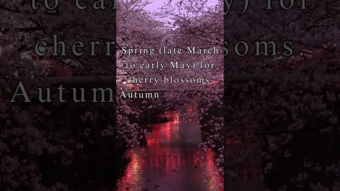 Here is all you need to know before coming to Japan. PART 3