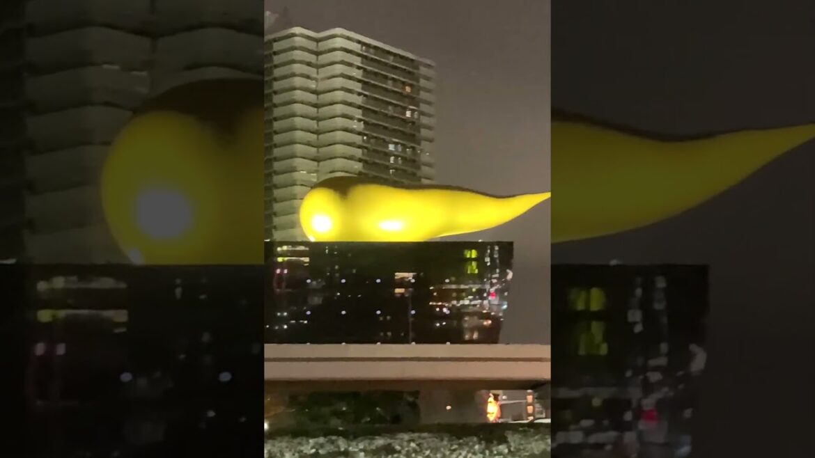 What is THIS in Tokyo?