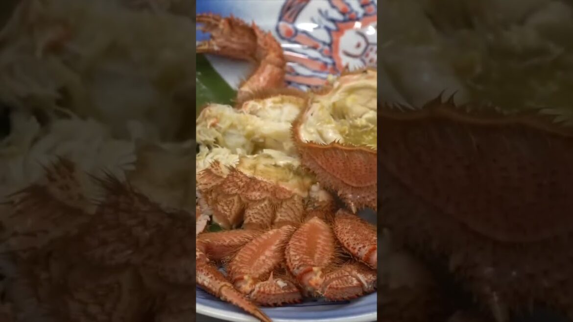 HAIRY CRAB HEAVEN in Sapporo, Japan  🦀🇯🇵 #japanesefood #hokkaido