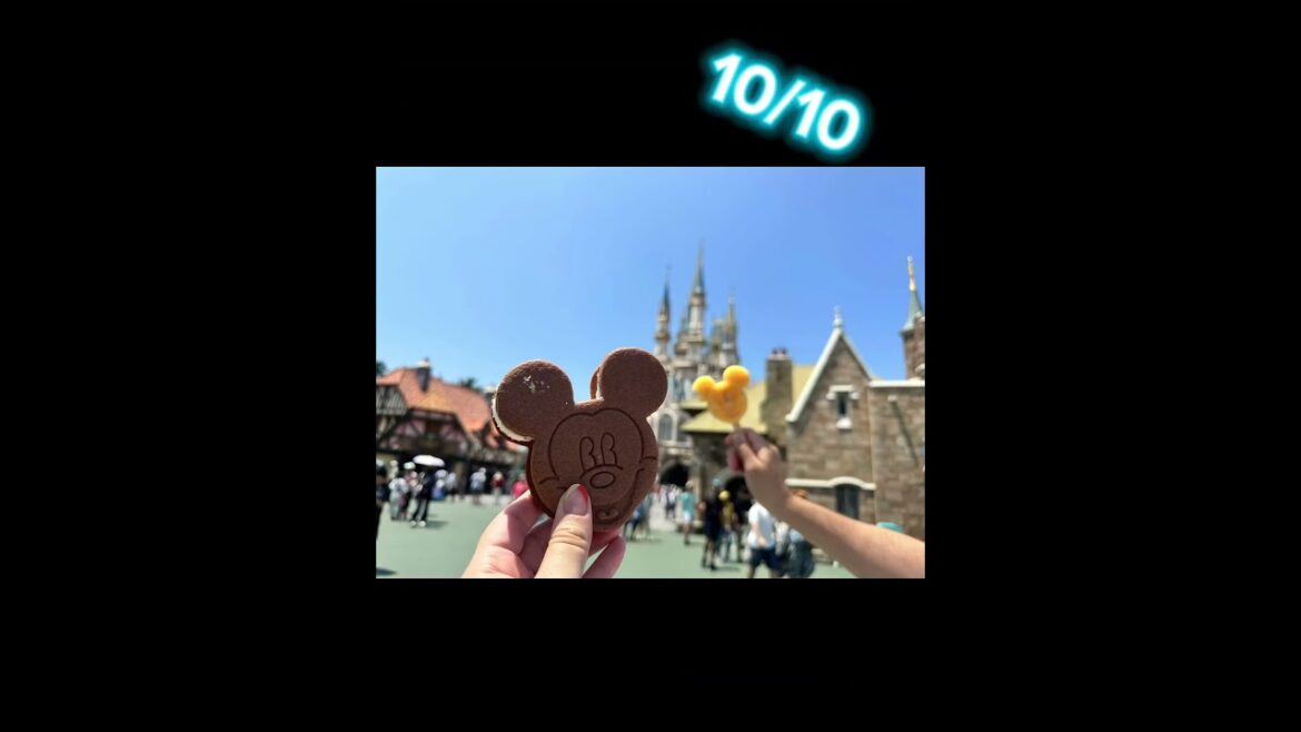 Maudie Goes..to Tokyo Disneyland and rates snacks
