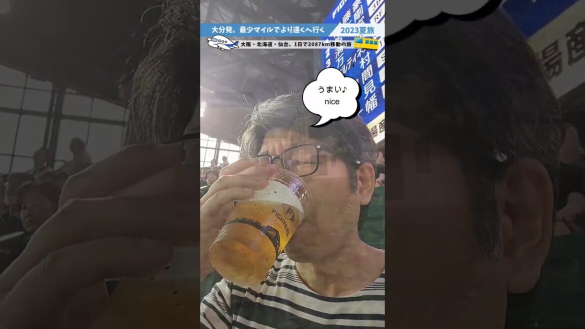 【マイルで乗り継ぎ旅2000km】大分→大阪→北海道→仙台を子連れ旅をしてみたら楽しすぎた。