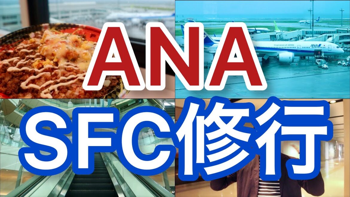 【SFC修行】ANA の奇妙な冒険!羽田空港「SFC修行 6日目」全8日 airport 【SFC修行】ANA の奇妙な冒険!羽田空港「SFC修行 6日目」全8日 airport